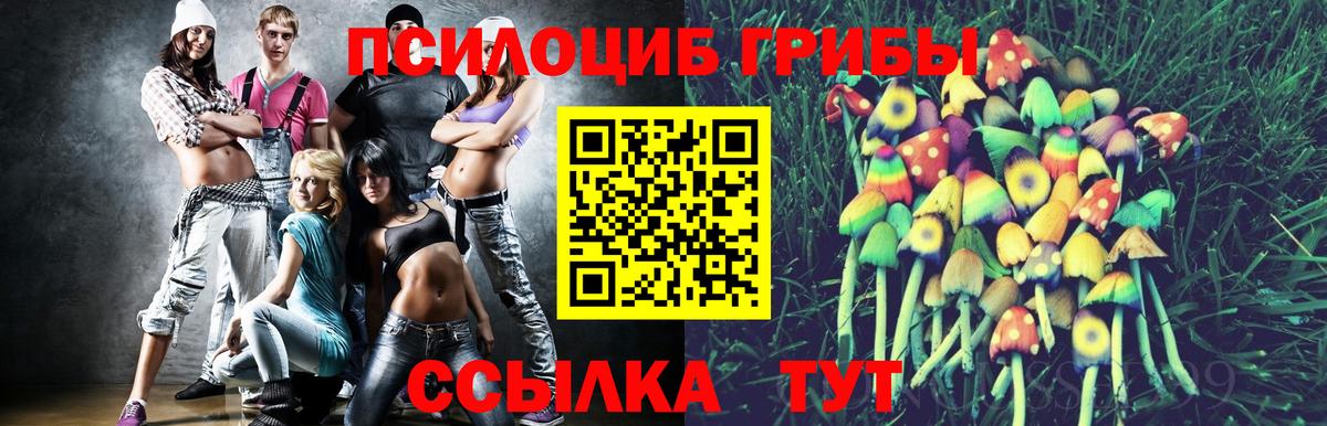 Галлюциногенные грибы мицелий  Галлюциногенные грибы прущие грибы  Вход с VPN  Нерюнгри 